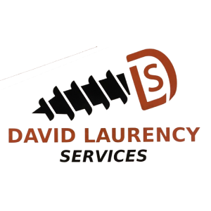 Logo DLS DAVID LAURENCY